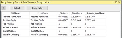 Fuzzy Lookup in SSIS 的图像结果