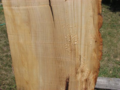 Box Elder #6671 - 1-3/4" x 16-1/4" to 19-1/2" x 31" FREE SHIPPING ...