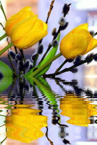 Image result for Tulips Flower Using Python
