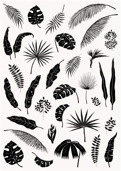 Amazon Jungle Plants Monochrome Scandinavian Poster | Leaf silhouette ...