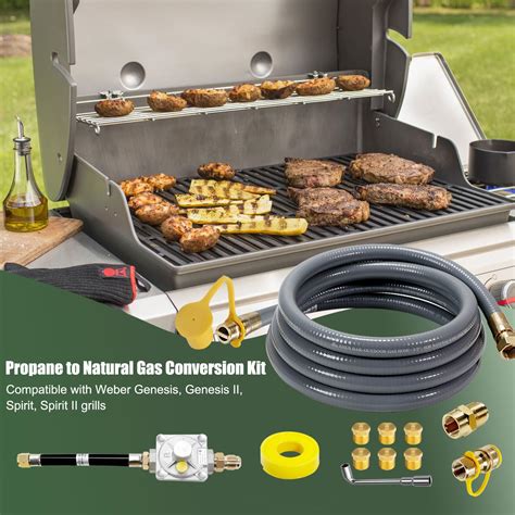 Snapklik.com : Upgraded Propane To Natural Gas Conversion Kit