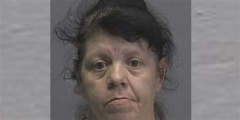 Dog boarder charged after 2 dogs die in her care, sheriff says