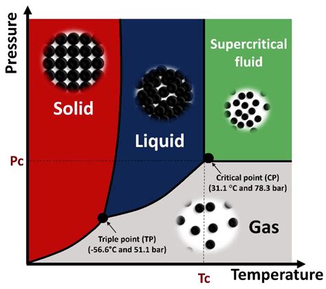 Optimization of Extraction of Natural Antimicrobial Pigments Using ...