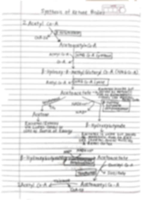 SOLUTION: Biochemistry important cycles and processes - Studypool