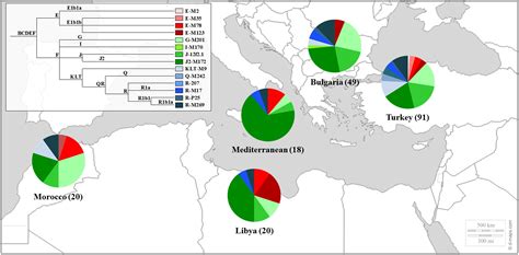 Distribution Of Jews