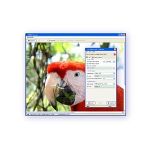 UTG Script Dev Console 的图像结果