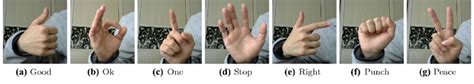Image result for Hand Gestures Dataset Python