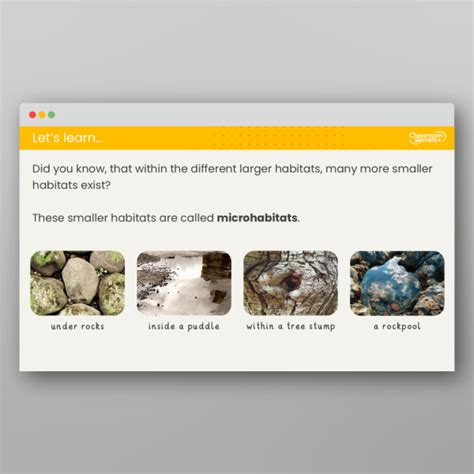 Image result for Microhabitat Examples