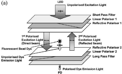 Organic Photodetectors in Analytical Applications