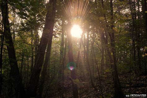 Image result for Paper Rustle Sound Effect