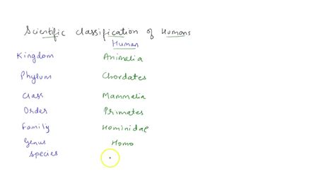 Image result for Human Classification