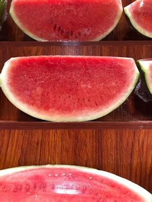 Seedless Watermelon – Al Premium Food Mart - Mississauga