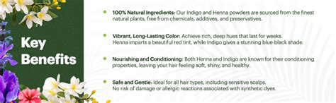 Buy RADICO100% ORGANIC INDIGO LEAF POWDER+100% ORGANIC HENNA POWDER ...