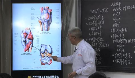 《系统解剖学》第四版，廖华，高等教育出版社-普本课堂