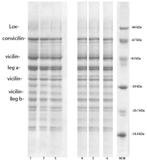 Profile and Functional Properties of Seed Proteins from Six Pea (Pisum ...