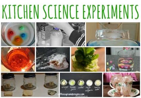 Science Experiments in the Kitchen 的图像结果