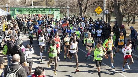 Image result for Spring Run Name