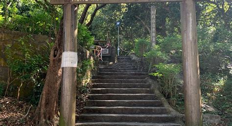 HUNG MUI KUK NATURE TRAIL (2026) All You Need to Know BEFORE You Go ...