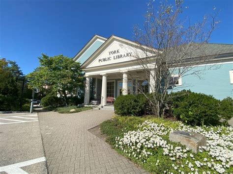 YHS Midterms Brain Break or Boost!, York Public Library, January 15 ...