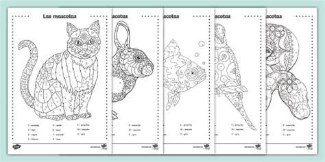 Colorear con números: Las mascotas - Mindfulness