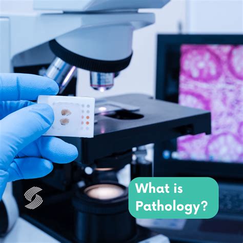 What is Pathology? - Spectrum Healthcare Partners