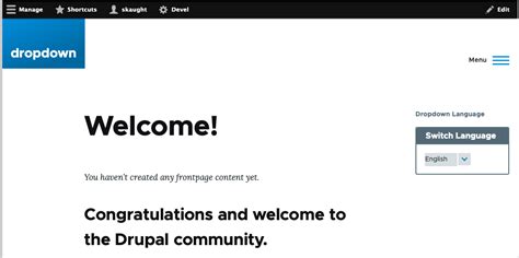 Image result for Language Switcher in Drupal