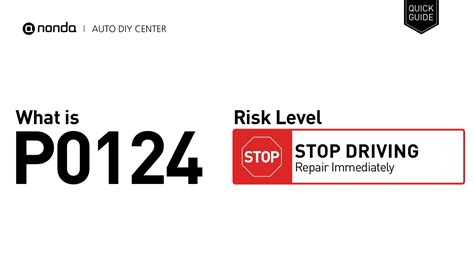 Engine Code P2401 的图像结果