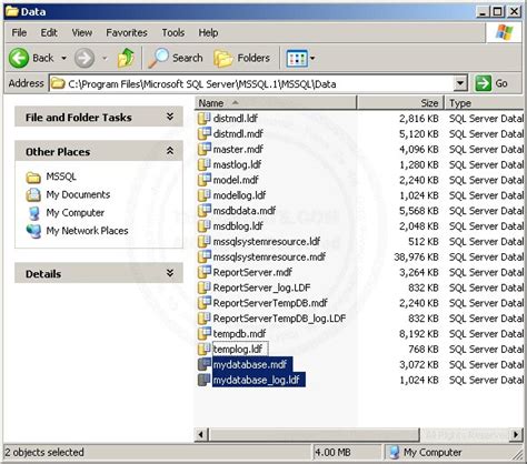 Restore Backup SQL Server 2008 to SQL Server 2005 的图像结果