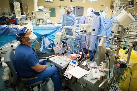 Cardiovascular Perfusionist Salary