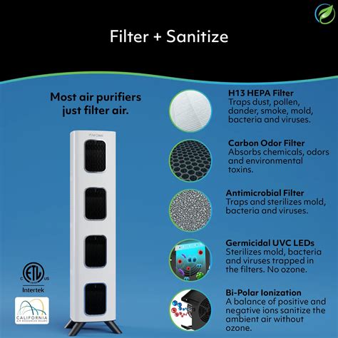 Ammonia and Indoor Air Quality: Hidden Dangers in Your Home | Air Oasis