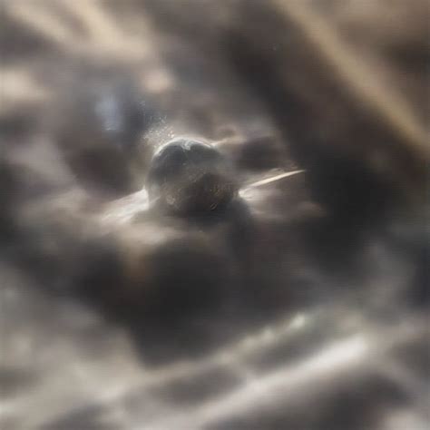 Image result for Volatile Organic Compounds Examples