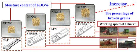 Effects of Threshing Devices, Maize Varieties and Moisture Content of ...