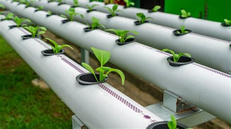 Build a NFT Hydroponic System Using 50Mm PVC 的图像结果