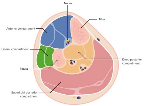 Image result for JavaFX Import Image