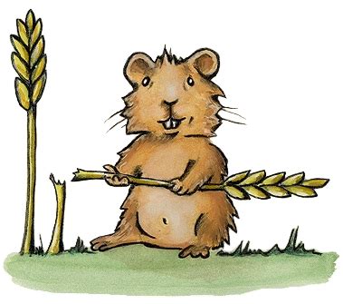 Java Hamster Simulator 的图像结果