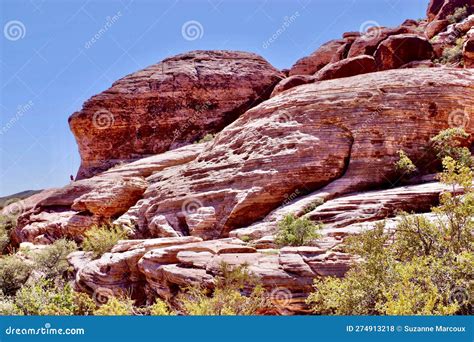 Calico Basin, Red Rock Conservation Area, Southern Nevada, USA Stock ...