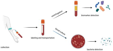 Challenges and Advances in Biomarker Detection for Rapid and Accurate ...