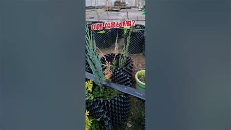 Image result for Example of Over Line in Coding