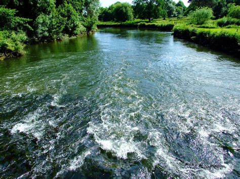 Image result for River Table Project