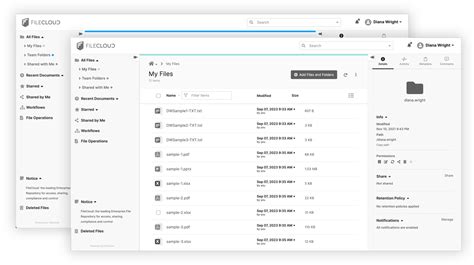 File Share Program 的图像结果