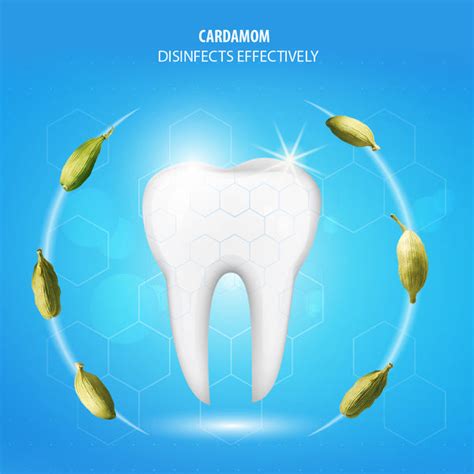 BENTODENT TOOTHPASTE FAMILY PACK - ORGANIC & HERBAL, Pack of 4, 100g ...