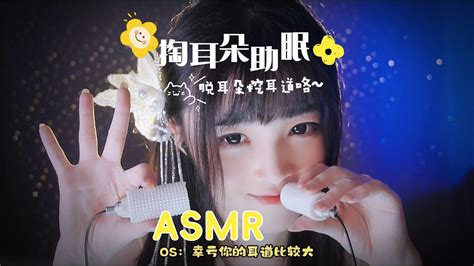ASMR Remove 的图像结果