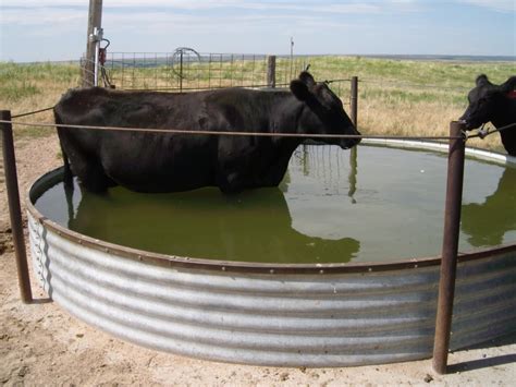 Livestock Water Tank Sizes at Katherine Grayson blog