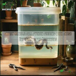 Ball Python Habitat Setup 的图像结果