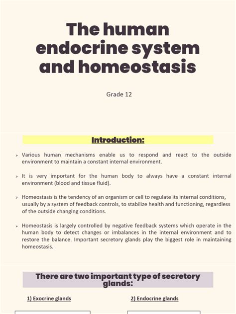 Image result for Endocrine System Grade 12 Lesson