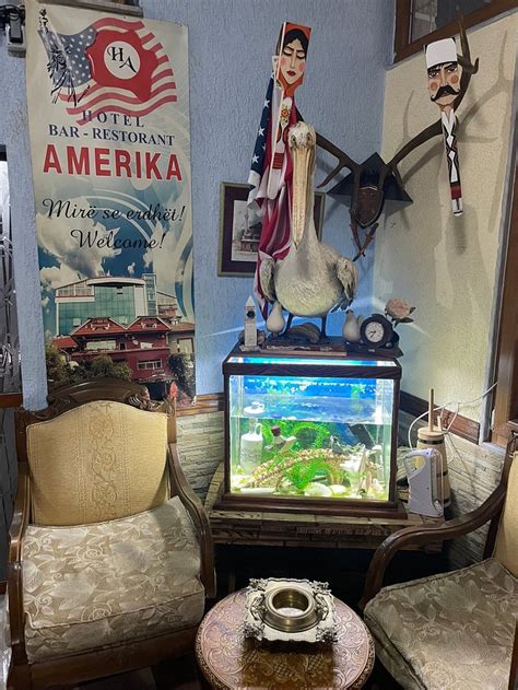 HOTEL BAR RESTORANT AMERIKA (Kukes) - Hotel Reviews, Photos, Rate ...