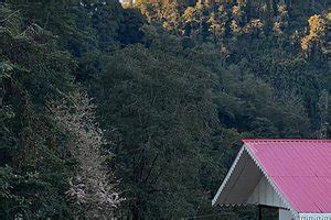 UDAAN HOTEL PINE CREST (Pelling, Sikkim) - Hotel Reviews, Photos, Rate ...