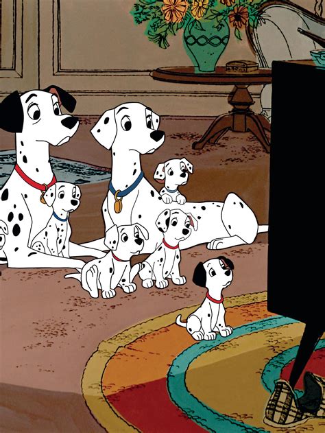 101 Dalmatians Puppies Real Life