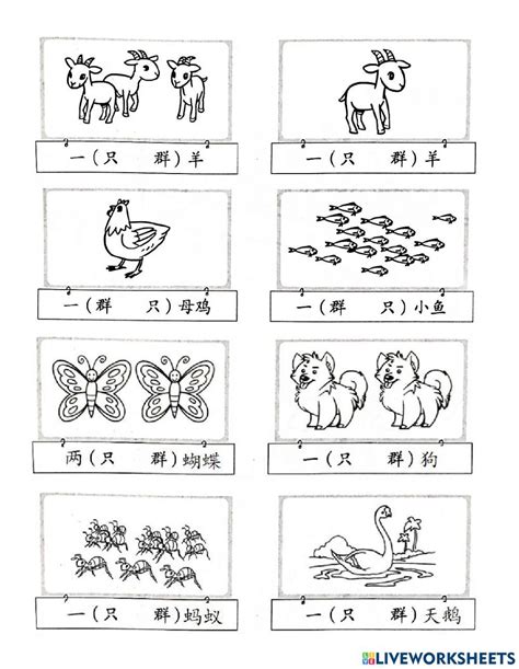 一年级量词 worksheet in 2023 | Learn cantonese, School subjects, Workbook