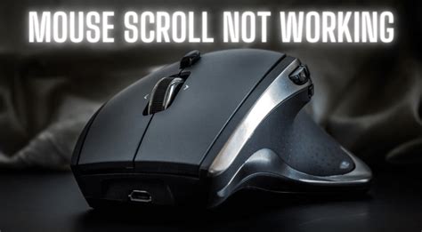 Mouse Scroll Error Test 的图像结果